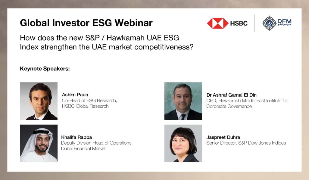 HSBC DFM Global Investor ESG Index_En