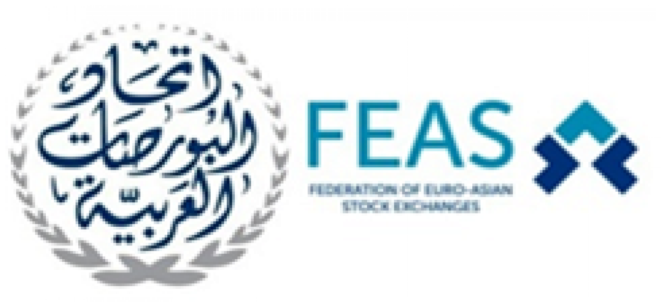 The-AFE-Participation-in-the-FEAS-Working-Committe