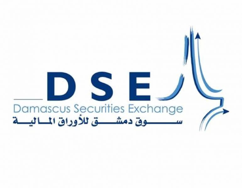dse logo